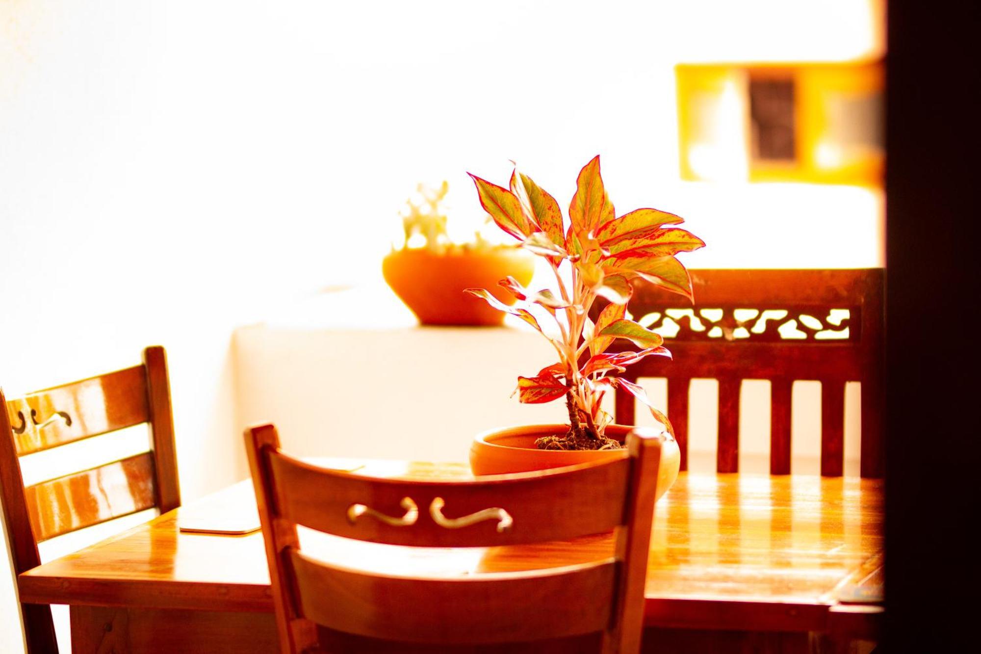 Golden Town Hostel タンガラ エクステリア 写真