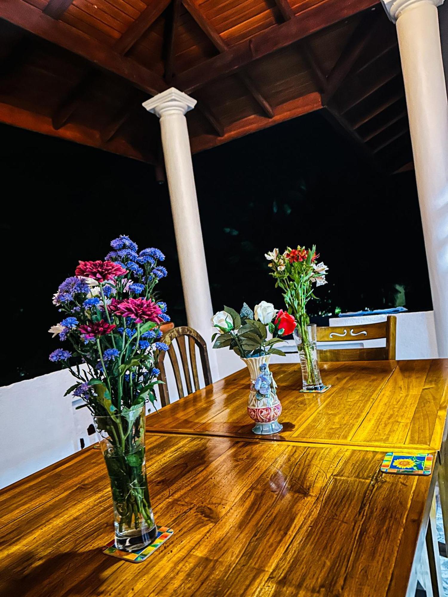Golden Town Hostel タンガラ エクステリア 写真